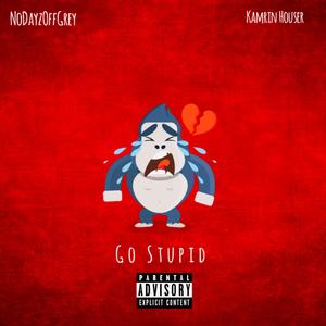 Go Stupid (Explicit)