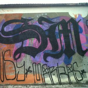 La Sm y la pinche VLF(feat. El Bto loko) (Explicit)