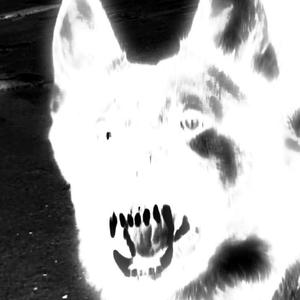 Vero (feat. Almighty Ace & YN SOLO) (Explicit)