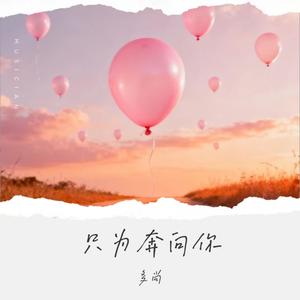 只为奔向你