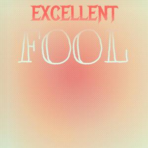 Excellent Fool