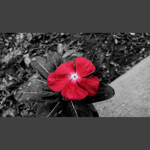 21 savage Dark Trap Type Beat 黑暗