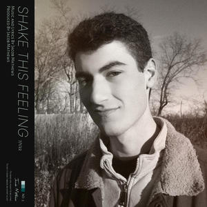 Shake This Feeling (Inst.)