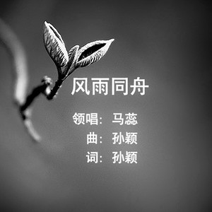 风雨同舟