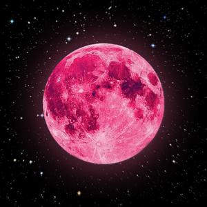 Pink Moon