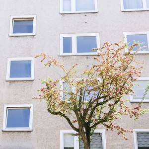 stimme der stadt