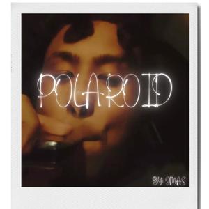 Polaroid (Explicit)