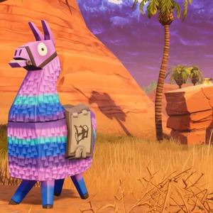 Llama (Explicit)