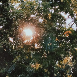 无知是原罪 (Demo)