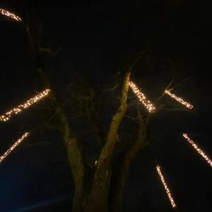 ifh8ustep (Explicit)