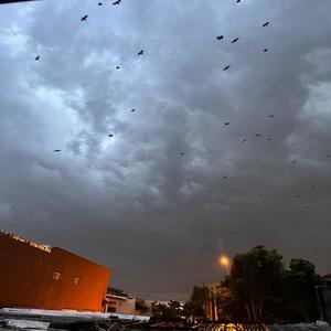 BYE BYE (feat. Fidji WAVEMASTER) (Explicit)