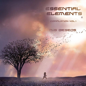 Essential Elements (Compilation, Vol. 1)