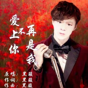 爱上你不再是我-男版DJ版 (伴奏)