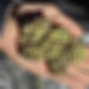 Take My Pain (Cold) (Explicit)
