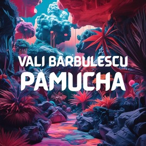 PAMUCHA