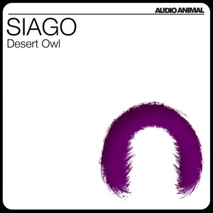Desert Owl (Original Mix)