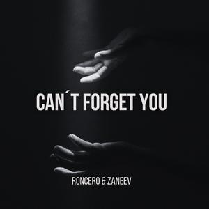 Can´t Forget You (Radio Edit)