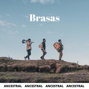 Brasas