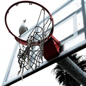 Shangri-La (feat. The Margots)