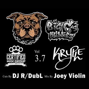 Bully Cypher Vol 3.7 (feat. Kryple) (Explicit)