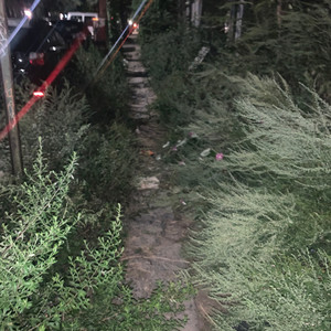 Cruel Summer (Explicit)