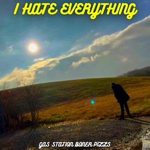 I Hate Everything (Explicit)