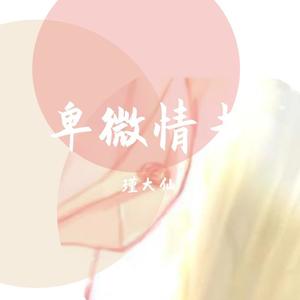 卑微情书