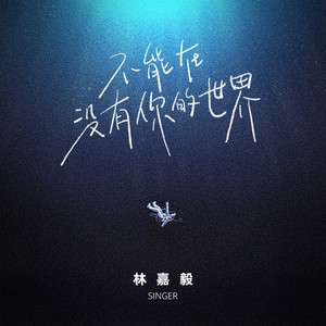 不能在没有你的世界 (伴奏)
