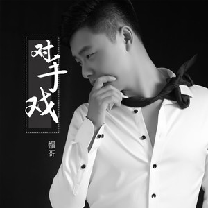 对手戏封面