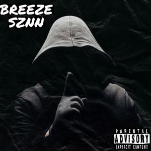 BREEZE SZNN, Vol. 1 (Explicit)