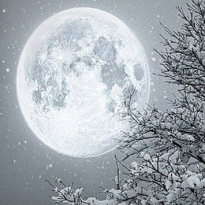 月满虚庭雪未消