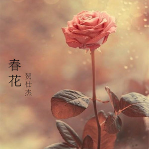 春花