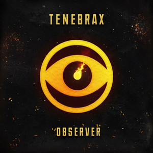 Observer (Original Mix)