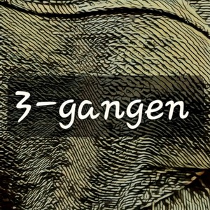 3-gangen