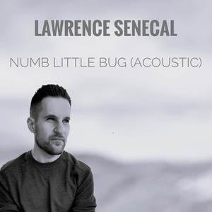 Numb Little Bug (Acoustic)