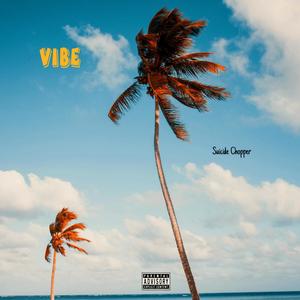 Vibe (Explicit)