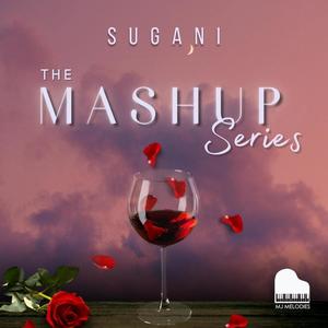 The Mashup Series