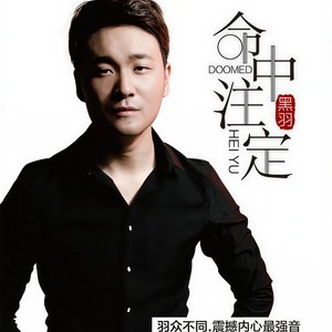 下辈子还做你的男人DJ版