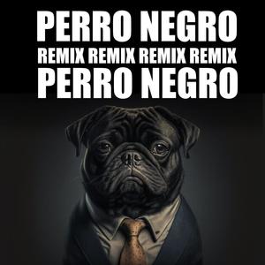 PERRO NEGRO (REMIX)