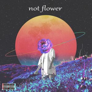 NOT FLOWER