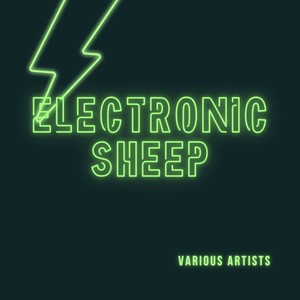 Electronic Sheep (Explicit)