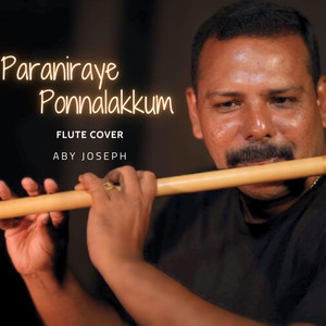 Paraniraye Ponnalakkum (From "Thiruvona Kaineetam") (Instrumental)