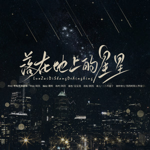 落在地上的星星