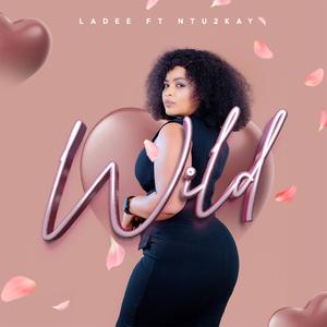 WILD (feat. Ntu2kay)