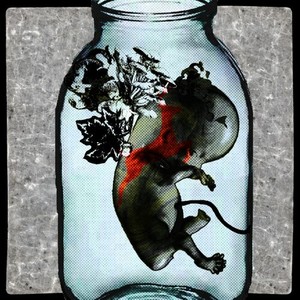 трубка (Explicit)