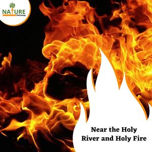 Voice of Dominating Birds