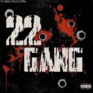 22 Gang (Explicit)