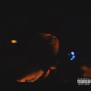 Snakes In The Grass (Explicit)