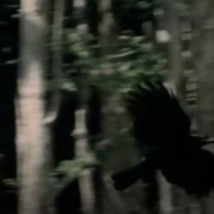 Survival (feat. Thyme) (Explicit)