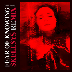 Fear Of Knowing (Skelesys Remix)